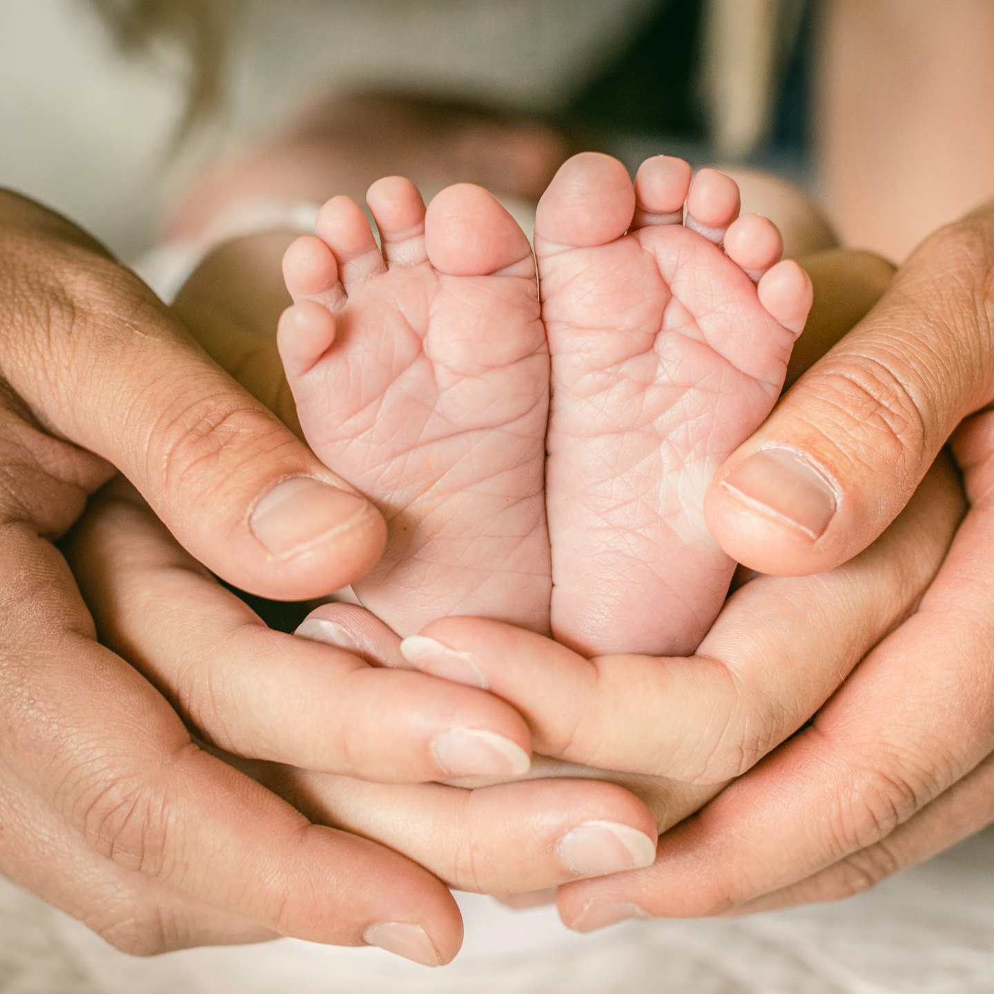 Two pairs of adult hands gently cradle tiny newborn feet.